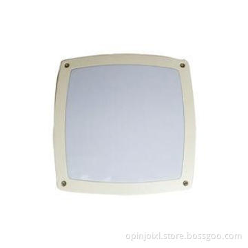 High Lumen IP65 LED Bulkhead Light 6000K Bulkhead Ceiling L
